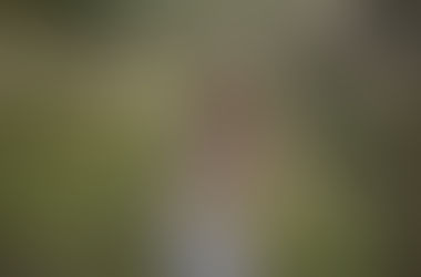 Обработка. Когда хочется поменять цветовое решение