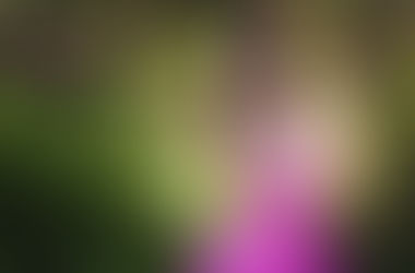 Фотосессии "Любовная история"