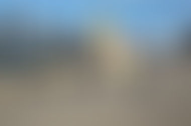 Прогулки с малышами