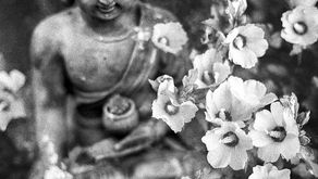 hypnose : séance gratuite