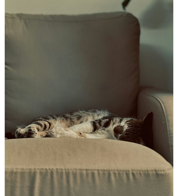 séance d'hypnose en visio