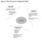 image of Three Perspectives Diagnostic Model