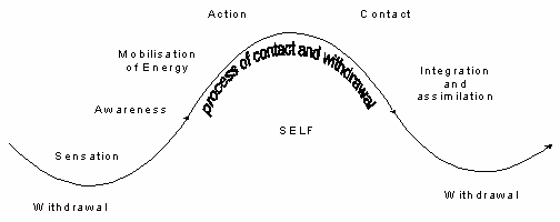 Zinker wave.gif