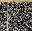 Life Scripts: A Transactional Analysis of Unconscious Relational Patterns