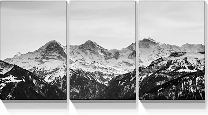 Looife 3 Panels Nature Scenery Canvas Wall Art, 16x24 Inch 3 Pieces Black and Wh