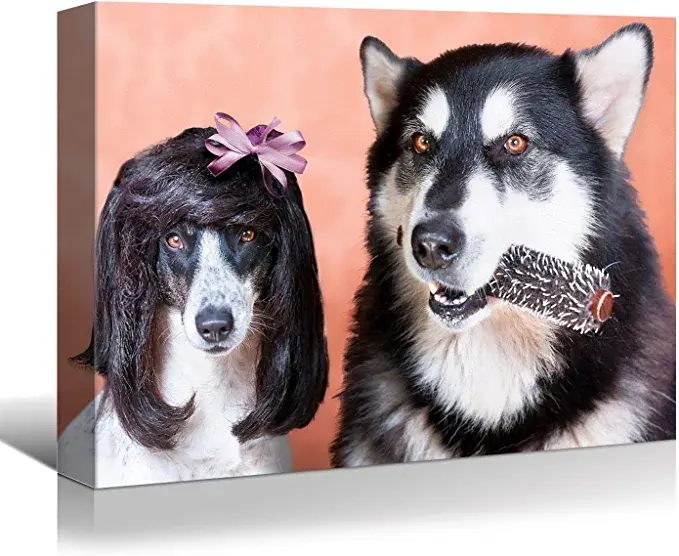 Looife Funny Animals Canvas Wall Art, 32x1.5x24 Inch Hairdresser Dog Grooming Ha