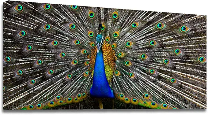 Looife Canvas Wall Art with Peacock Picture - 40x20 Inch Blue Peacock with Color