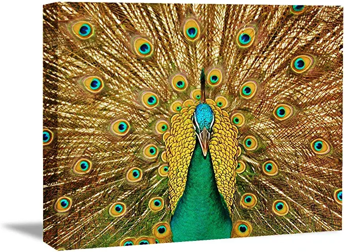 Looife Canvas Wall Art with Peacock Picture - 18x12 Inch Cyan Peacock with Color