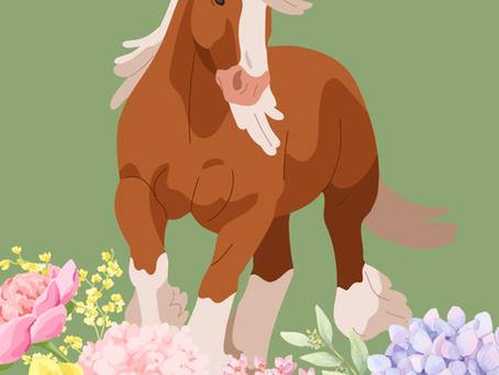From a Bedroom Full of Horse to Horse Game Enthusiast