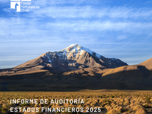Estados financieros 2025 de Fondo Naturaleza Chile