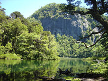 CONAF, The Nature Conservancy Chile and Chile Nature Fund strengthen strategic alliance for ecosystem protection and fire prevention