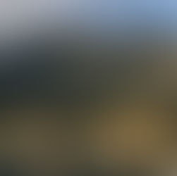 Fondo Naturaleza Chile lanza dos nuevas convocatorias públicas para fortalecer la conservación marina en Juan Fernández