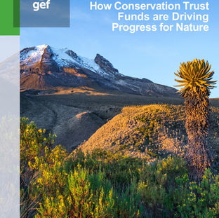 Informe de GEF destaca el impacto de los fondos ambientales en el financiamiento para conservar y restaurar la naturaleza