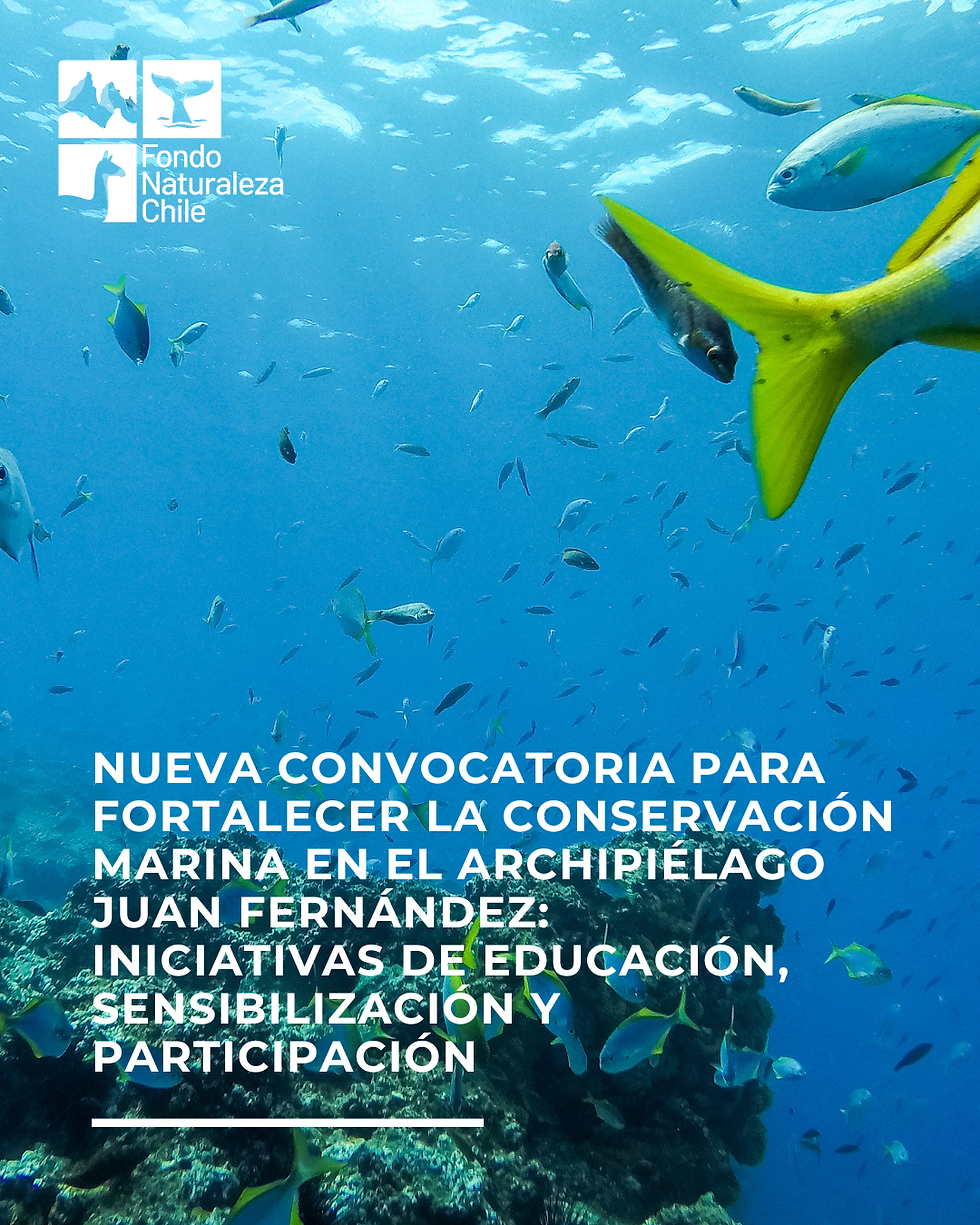 Fondo Naturaleza Chile lanza nueva convocatoria para la conservación de AMP Juan Fernández