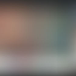 Junto a Conaf y TNC Chile avanza el Programa Paisajes Resilientes frente a Incendios Forestales (PRIF)