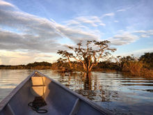 Fondos ambientales: experiencias internacionales