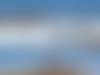 Conserva Aves aterriza en Chile: Iniciativa hemisférica protege corredores de aves migratorias y sus hábitats críticos