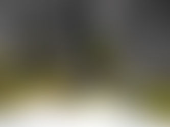 Fondo Naturaleza Chile anuncia resultados de segundo proceso de convocatorias de AMP del Archipiélago de Juan Fernández