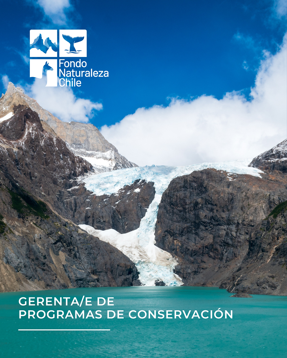 Convocatoria abierta a gerencia de Programas de Conservación de Fondo Naturaleza Chile