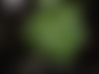 Comité de Finanzas y de Áreas Marinas Protegidas