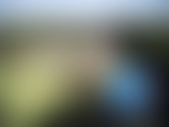 ⛳️ Golf solidaire : la Coupe PEMM 2026 au Golf du Prieuré