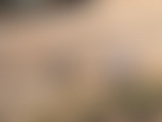 Le déroulement du chantier de NAVANG