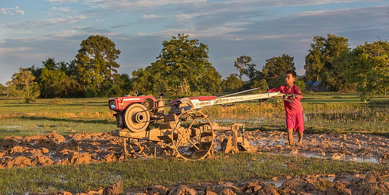 Pesticides au Laos, un danger permanent