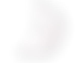 Comprendre la diversité ethnique du Laos