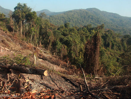 La déforestation au Laos