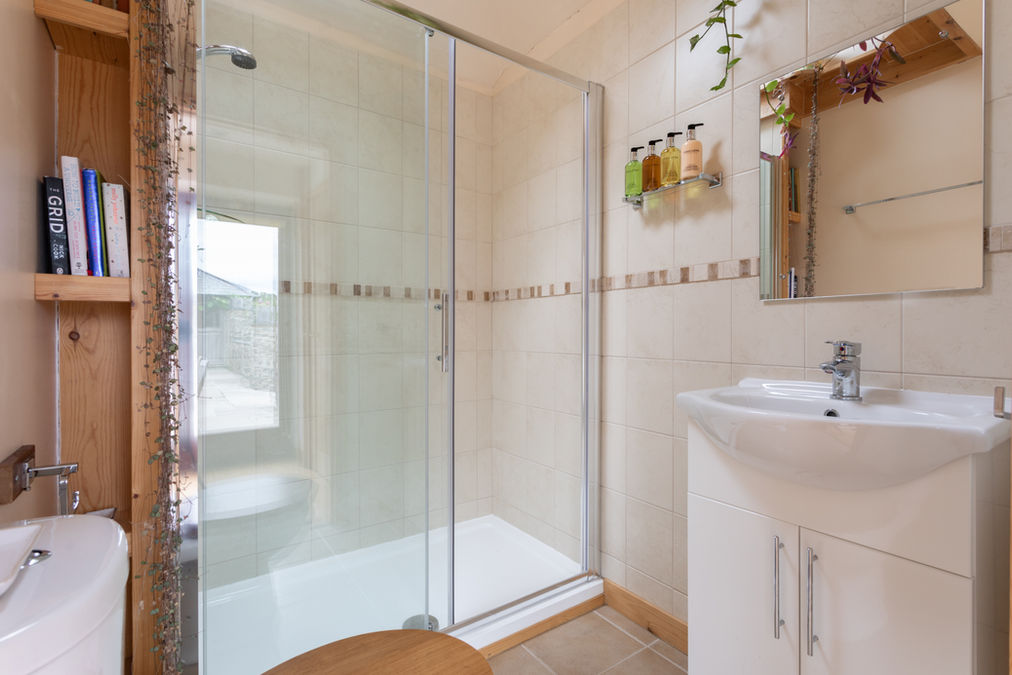 The Apartment at The Manor, Bratton Clovelly