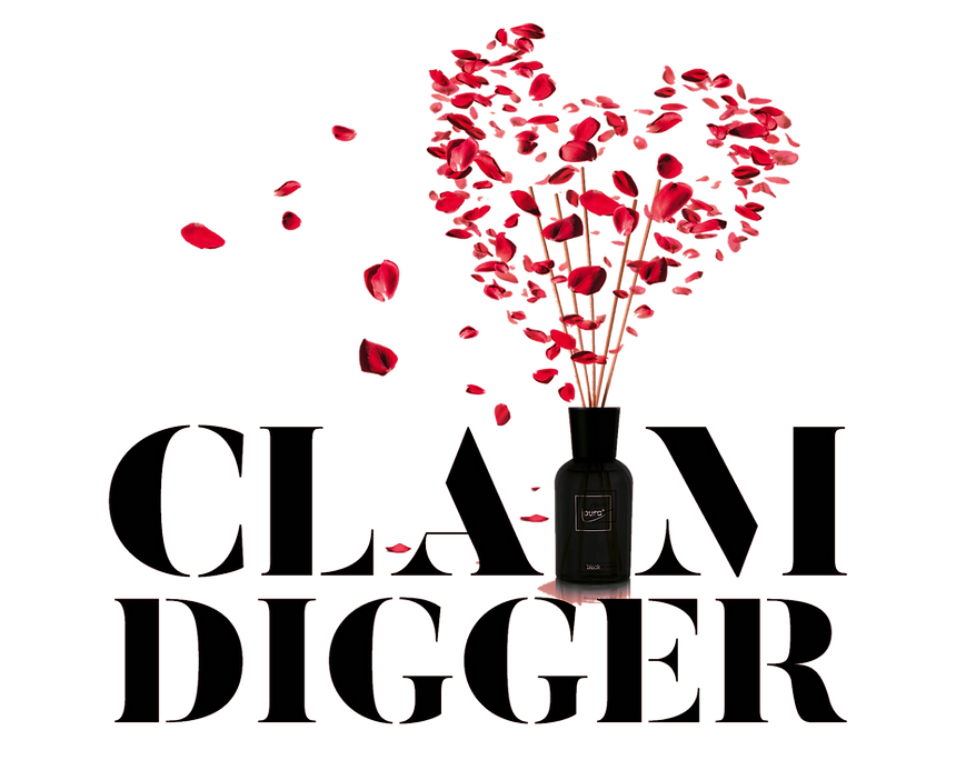 claimdigger2_edited.png