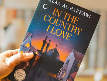 In the Country I Love by Alaa Al-Barkawi