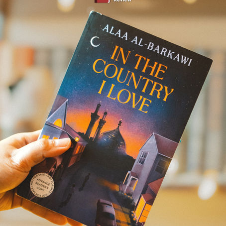 In the Country I Love by Alaa Al-Barkawi