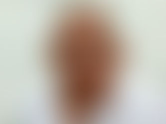 jansangh-ka-itihas-dhamtari - स्वर्गीय गजराज जैन भाजपा धमतरी