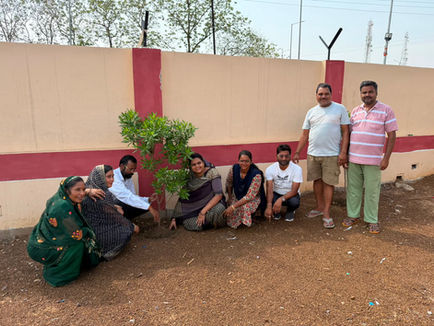 PM Modi 12 Years Celebration Kurud tree plantation drive under Ek Ped Maa Ke Naam campaign led by Kurud Municipality