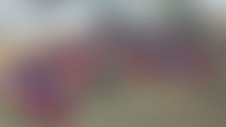 Bhalu Jhulan Food Park Protest Dhamtari Maveshi Talab।