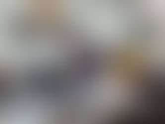 "PM Shri KV Kurud Toppers with Collector Avinash Mishra"।