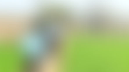 धमतरी रागी की खेती (Ragi Farming) का निरीक्षण करते कलेक्टर अबिनाश मिश्रा