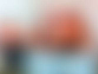 गंगरेल के 'मानव वन' में गूंजा श्रमिक एकता का शंखनाद: बिजली कर्मचारियों का भव्य होली मिलन और महिला सम्मान संपन्न