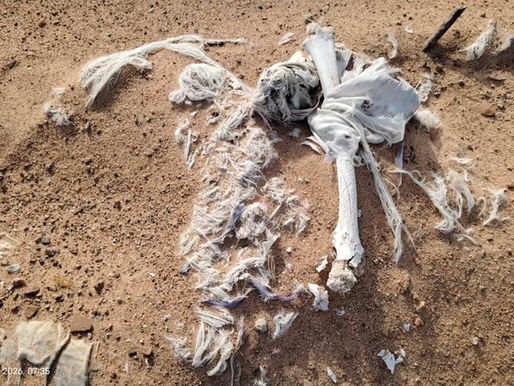 Dhamtari Sand Mine Human Skeleton Illegal Mining Issue Kharenga