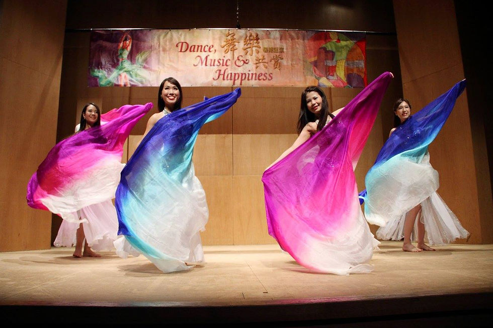 Oriental Belly Dance with Veil Performance