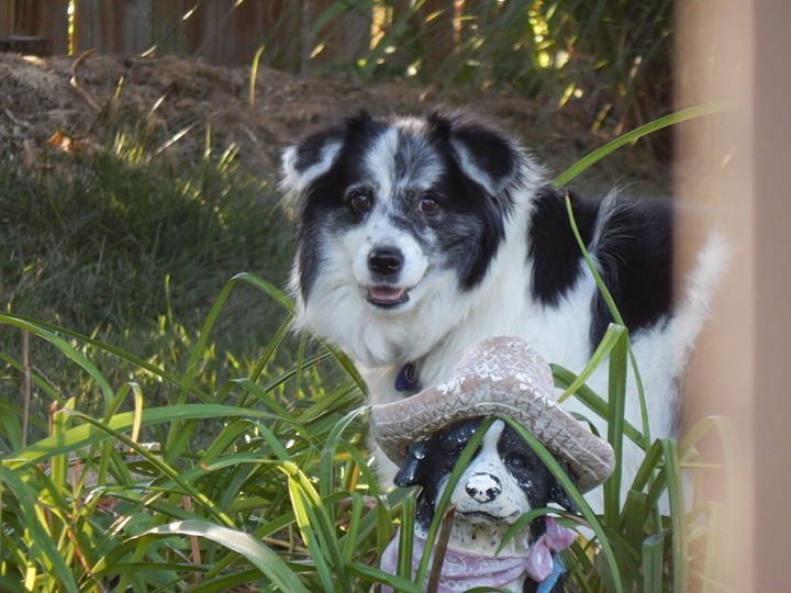 All back with a new look!