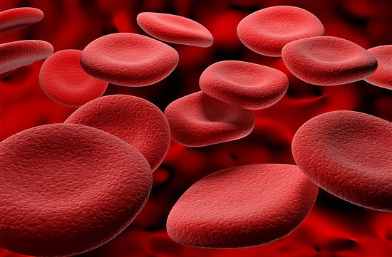 Blood 1.jpg