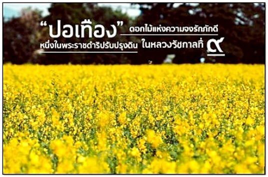 messageImage_1742987767802.jpg