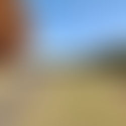 ゴルフのサブスク