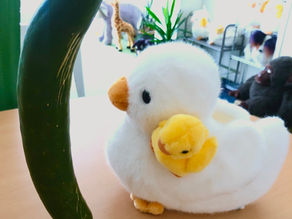 夏季休業のお知らせ 2020年8月12日(水)~8月19日(水)