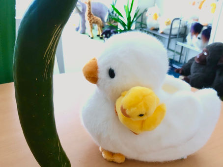 夏季休業のお知らせ 2020年8月12日(水)~8月19日(水)