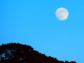 年末年始休業のお知らせ~2024~