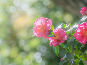 年末年始休業のお知らせ~2023~