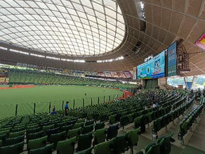 応燕歴10年!初ベルーナドーム観戦レポ